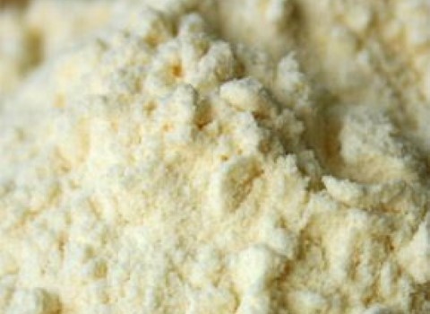 تصویر 3 از خرید و قیمت استارتر دوغ گازدار + فروش صادراتی
